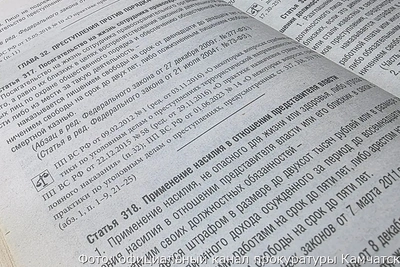 Ранее судимый камчатец осужден за удар полицейского