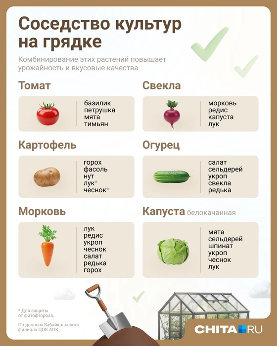 Источник: Евгения Бикунова / Городские медиа