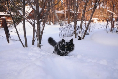 Синоптики предупреждают о снеге и ветре в Иркутске на выходные