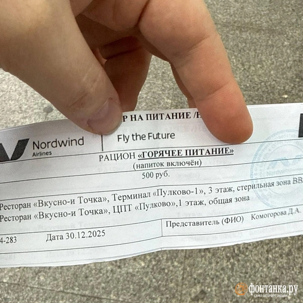 Пассажиры Пулково сутки пытаются улететь в Калининград. Самолет дважды покидал город, но возвращался | Источник: читатель «Фонтанки»
