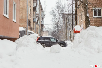 Зимний фоторепортаж с окраин Ярославля, где весна ещё не пришла