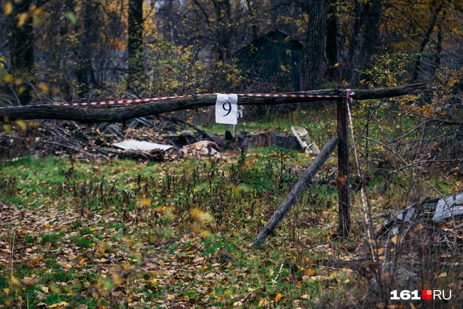 Источник: Евгений Вдовин / 161.RU