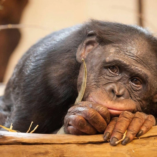 Источник: Соцсети