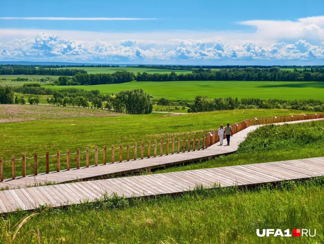 Тоже линии и несколько планов | Источник: Булат Салихов / UFA1.RU