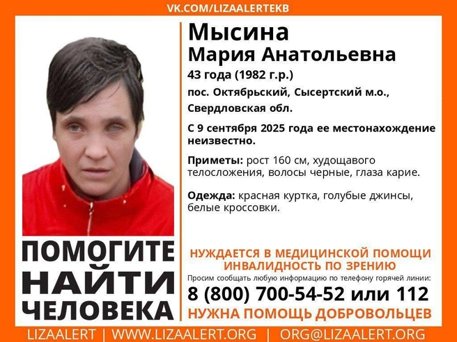 Если вы видели Марию, сообщите об этом поисковикам | Источник: «ЛизаАлерт»
