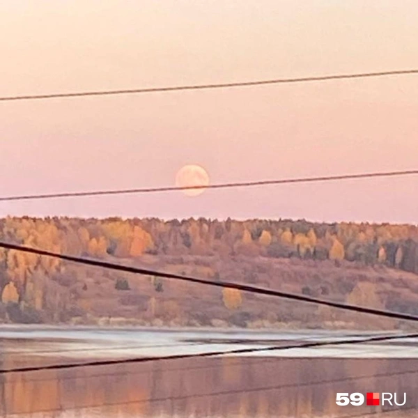 Полупрозрачная, но все равно внушительная луна | Источник: читательница 59.RU