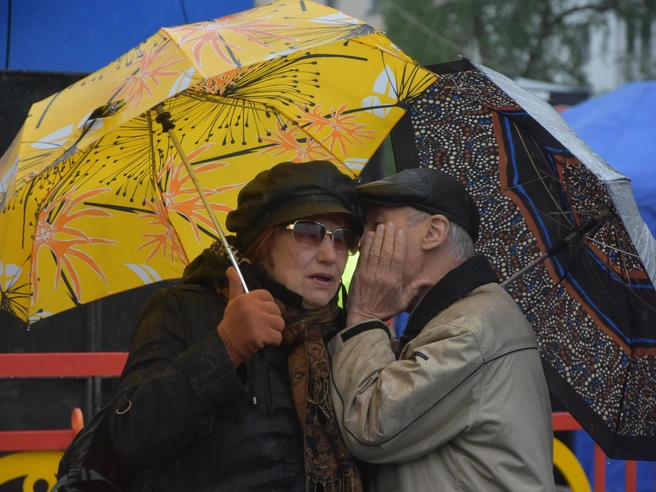 Многие пенсионеры стремятся получить накопления единым платежом | Источник: Александра Балаба / 51.RU