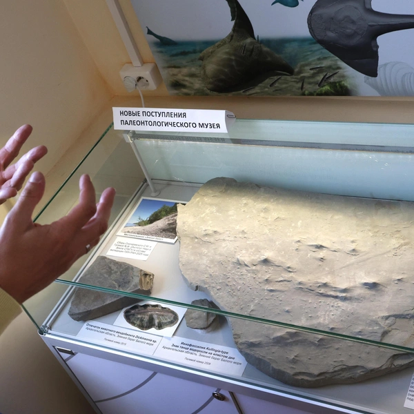 Отпечаток морского дна со следами водорослей | Источник: Mamontova Marina/ Fontanka.ru