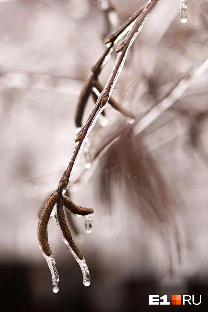 Источник: читатель Е1.RU