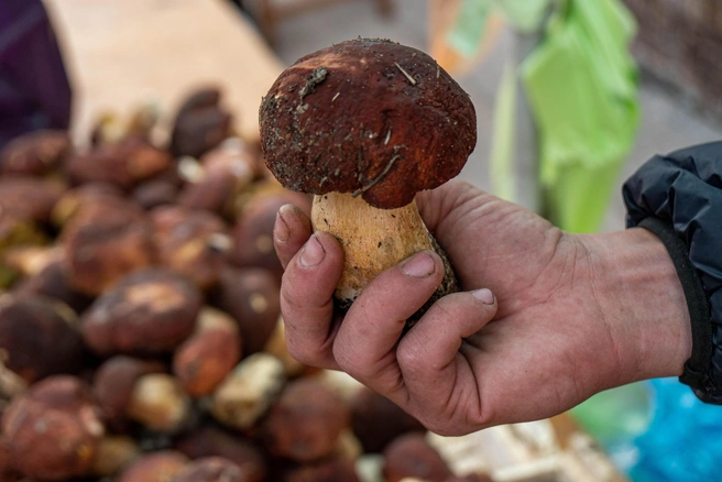 Источник: Александр Ощепков / NGS.RU