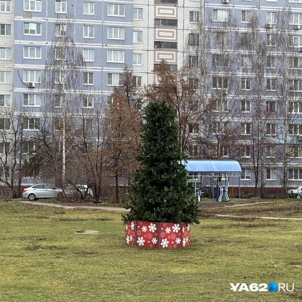 Недостоево постепенно готовится к Новому году | Источник: Сергей Петунин / YA62.RU