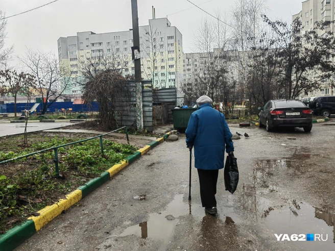 По таким дорогам сложно пройти не только на инвалидной коляске | Источник: Кристина Мельникова / YA62.RU