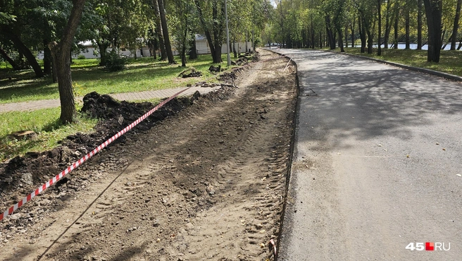 Новая беговая дорожка будет вокруг парка | Источник: Дарья Никитченко / 45.RU