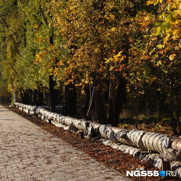Осень во всех ее красках | Источник: Евгений Софийчук / NGS55.RU