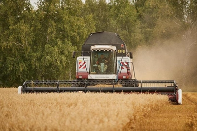 Юг РФ ждут банкротства из-за низких цен на зерно