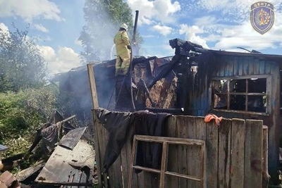 В Приамурье из горевшего дома спасли мужчину