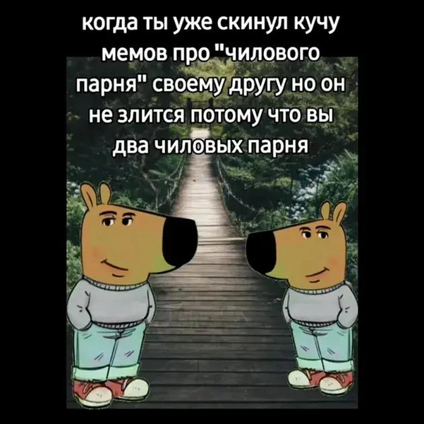 Источник: Соцсети