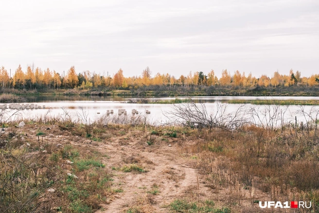 Зона природу не щадит | Источник: Булат Салихов / UFA1.RU