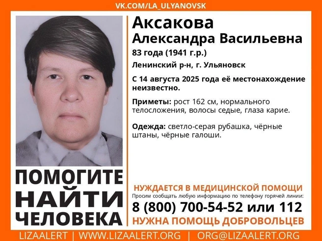 Волонтеры просят содействия в поисках  | Источник: vk.com/la_ulyanovsk