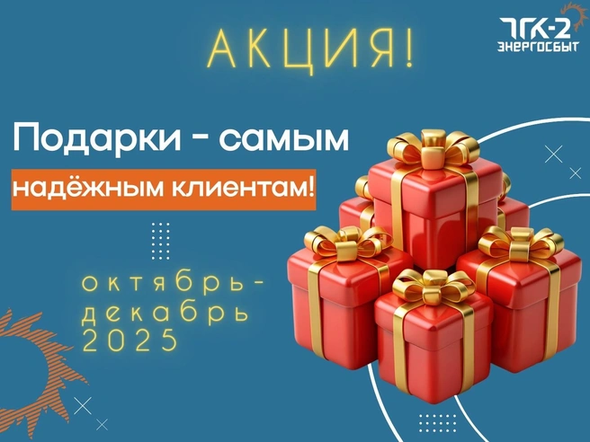 До конца ноября генератор случайных чисел определит 30 лицевых счетов-победителей | Источник: «ТГК-2 Энергосбыт»