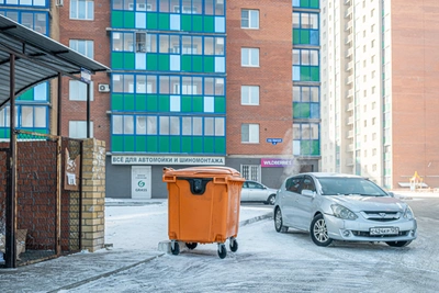 Куда сдать новогоднюю елку в Самаре: список адресов