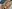 Фото №1 - Oscar Makeup: как повторить макияж Лоры Дерн с красной дорожки?