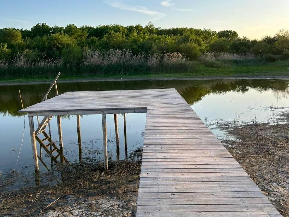 «Всё подохло»: южане бьют тревогу из-за обмелевшей реки — там массово гибнет рыба