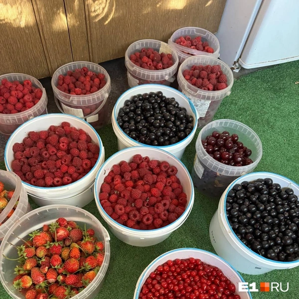 Источник: читатель Е1.RU