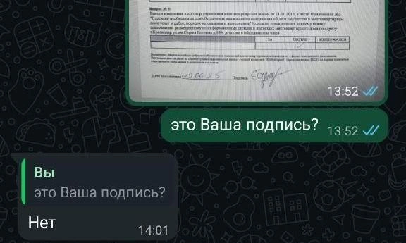 В распоряжении редакции есть скриншоты переписок, где люди также отрицают причастность к голосованию  | Источник: предоставлено 93.RU