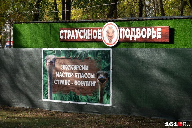 Сюда приходят посмотреть на страусов | Источник: Евгений Вдовин / 161.RU 