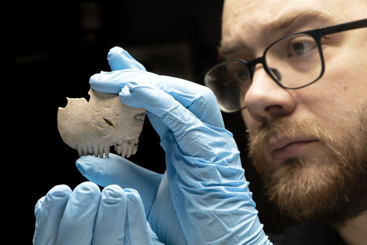 Бедный Йорик железного века: история 2500-летнего британского амулета из человеческого черепа