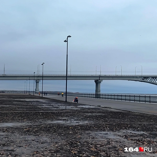 Источник: Сергей Гендин / 164.RU