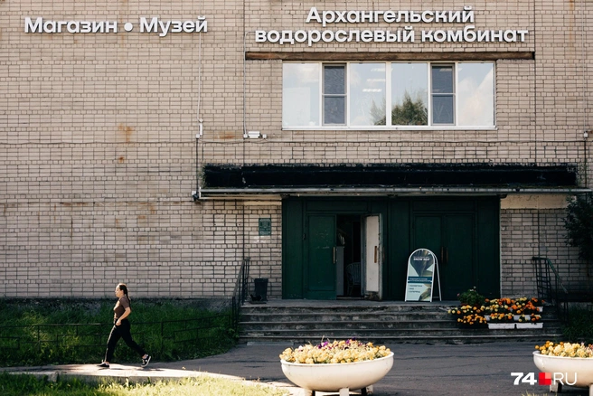 В Архангельске есть единственный в России завод по добыче и переработке морских водорослей, и туда можно попасть | Источник: Наталья Лапцевич