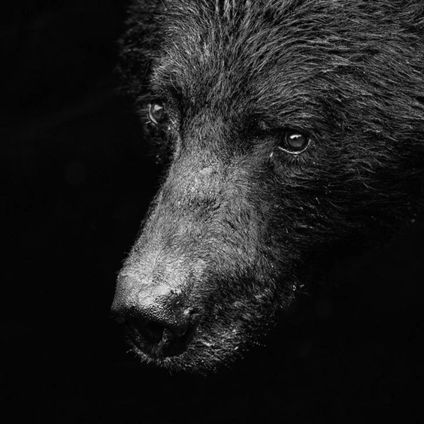 Источник: Mark Carwardine / Exposure One Awards 2025