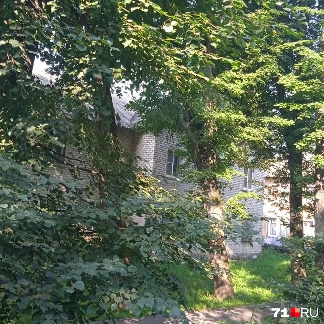 Заросли деревьев на придомовой территории жители убрать сами не имеют права | Источник: Личный архив И.Лебедевой