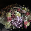 userpic__Aria