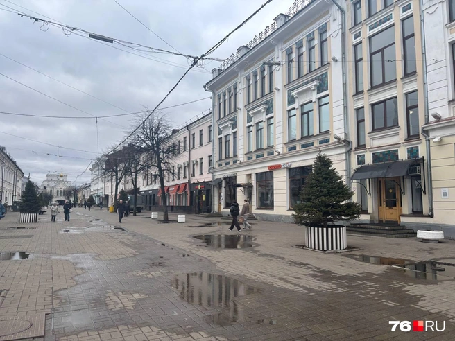 Помещения в центре Ярославля имеют стабильный спрос среди арендаторов | Источник: Алина Сардекова / 76.RU