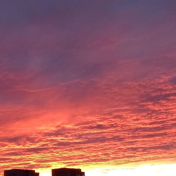 Источник: читатели V1.RU