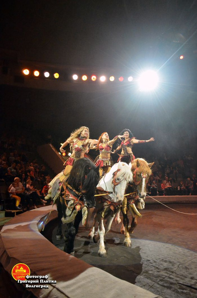 Волгоград в октябре: куда сходить, что посмотреть