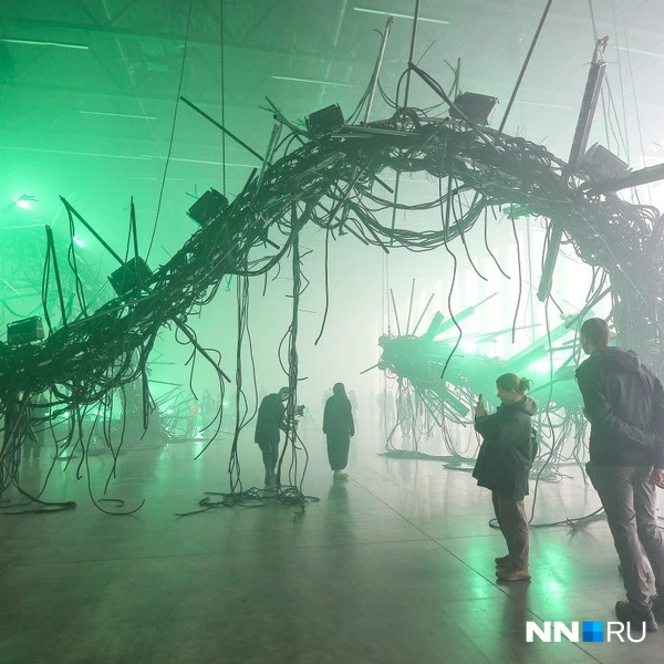 Подсвечивается чудище разными цветами | Источник: Наталья Бурухина / NN.RU