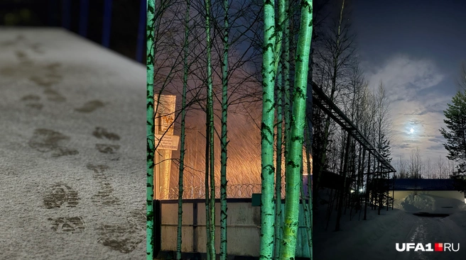 Погода ведет себя очень по-разному, но во всём есть красота | Источник: читатель UFA1.RU