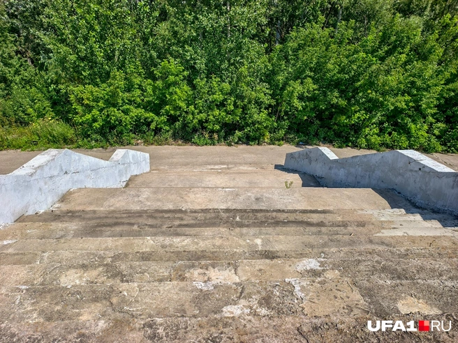 Лестница ведет прямо в буйство зелени | Источник: Булат Салихов / UFA1.RU