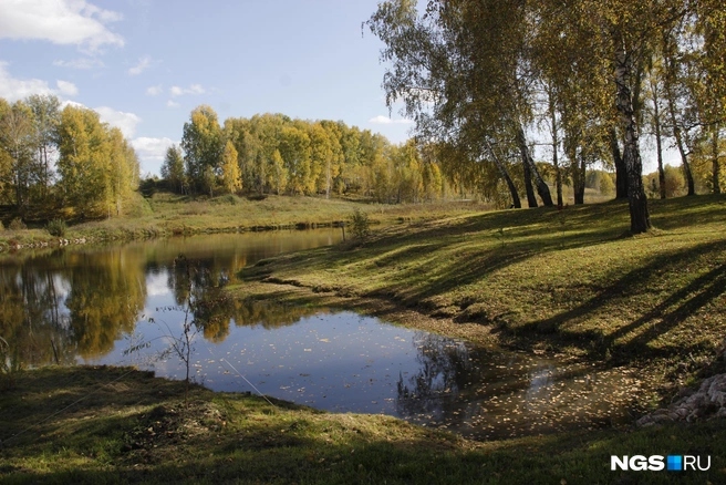 Пруд на территории Деревни Мира | Источник: Стас Соколов \ NGS.RU
