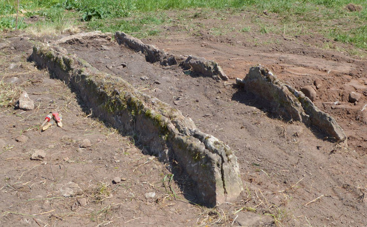 Археологи нашли очень странную «братскую могилу» возрастом 5500 лет: чем она их удивила?