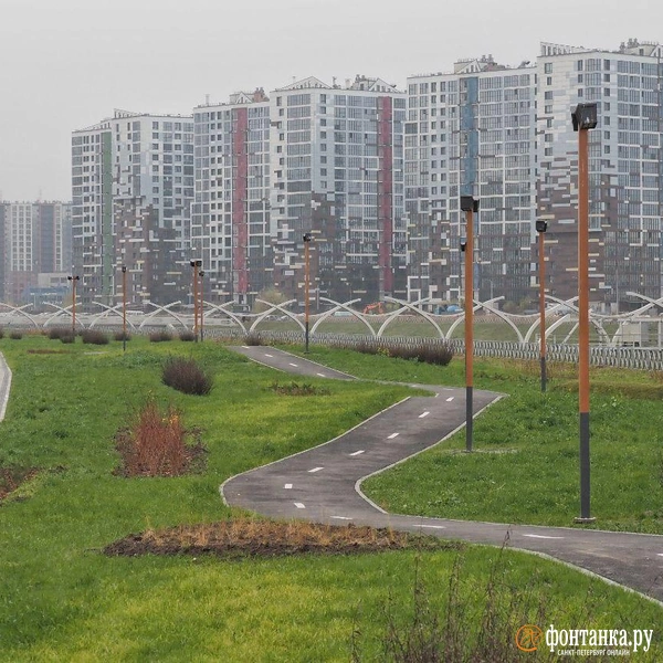 Источник: Михаил Огнев / «Фонтанка.ру»