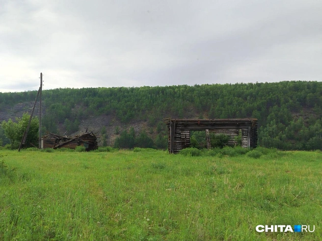 Источник: Дарья Харламова / CHITA.RU