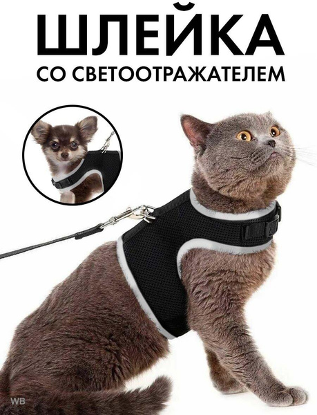 Шлейка для кошек