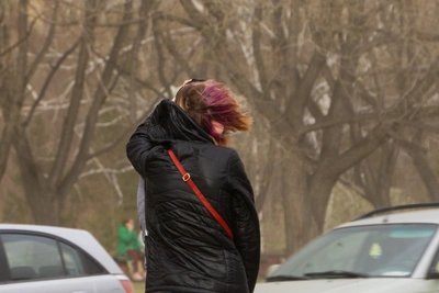 Сильный ветер ожидается в Архангельской области завтра