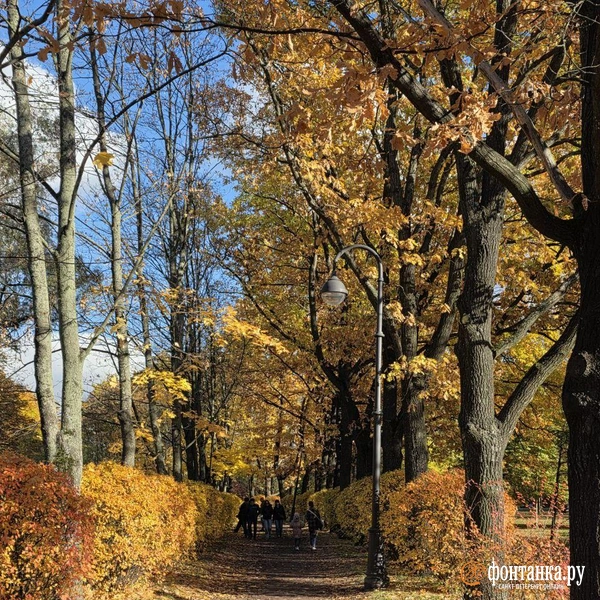 Источник: читательница «Фонтанки» Елена
