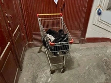 «Убил жену по неосторожности»: расчлененная модель Антонина Сергеева не первая жертва пенсионера из Петербурга
